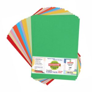 A/4 PREMIUM BRIGHT PASTEL MULTI COLOUR PAPER